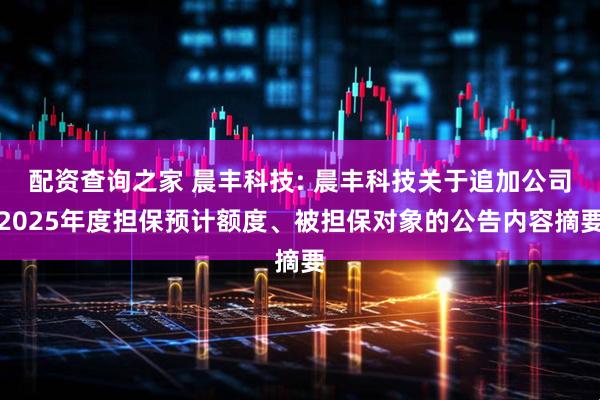 配资查询之家 晨丰科技: 晨丰科技关于追加公司2025年度担保预计额度、被担保对象的公告内容摘要